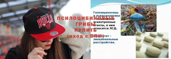 спайс Баксан