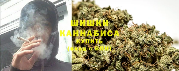 спайс Баксан