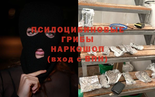 спайс Баксан